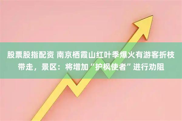 股票股指配资 南京栖霞山红叶季爆火有游客折枝带走,景区:将增加“护枫使者”进行劝阻