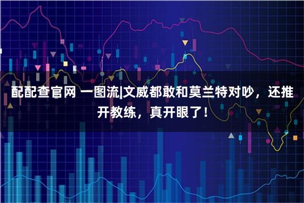 配配查官网 一图流|文威都敢和莫兰特对吵，还推开教练，真开眼了！